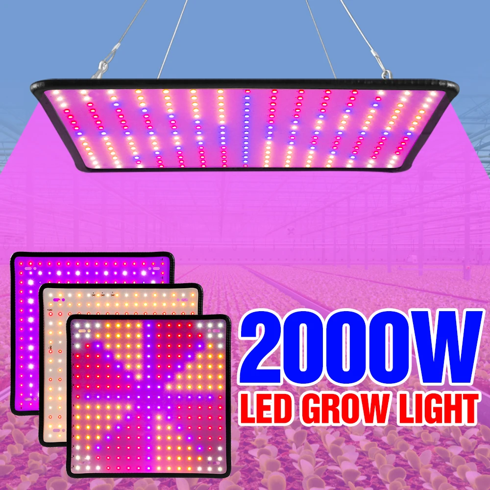 2000W LED coltiva la luce fito Led lampada spettro completo pianta luce LED illuminazione idroponica serra semi crescita lampada tenda Fitolamp