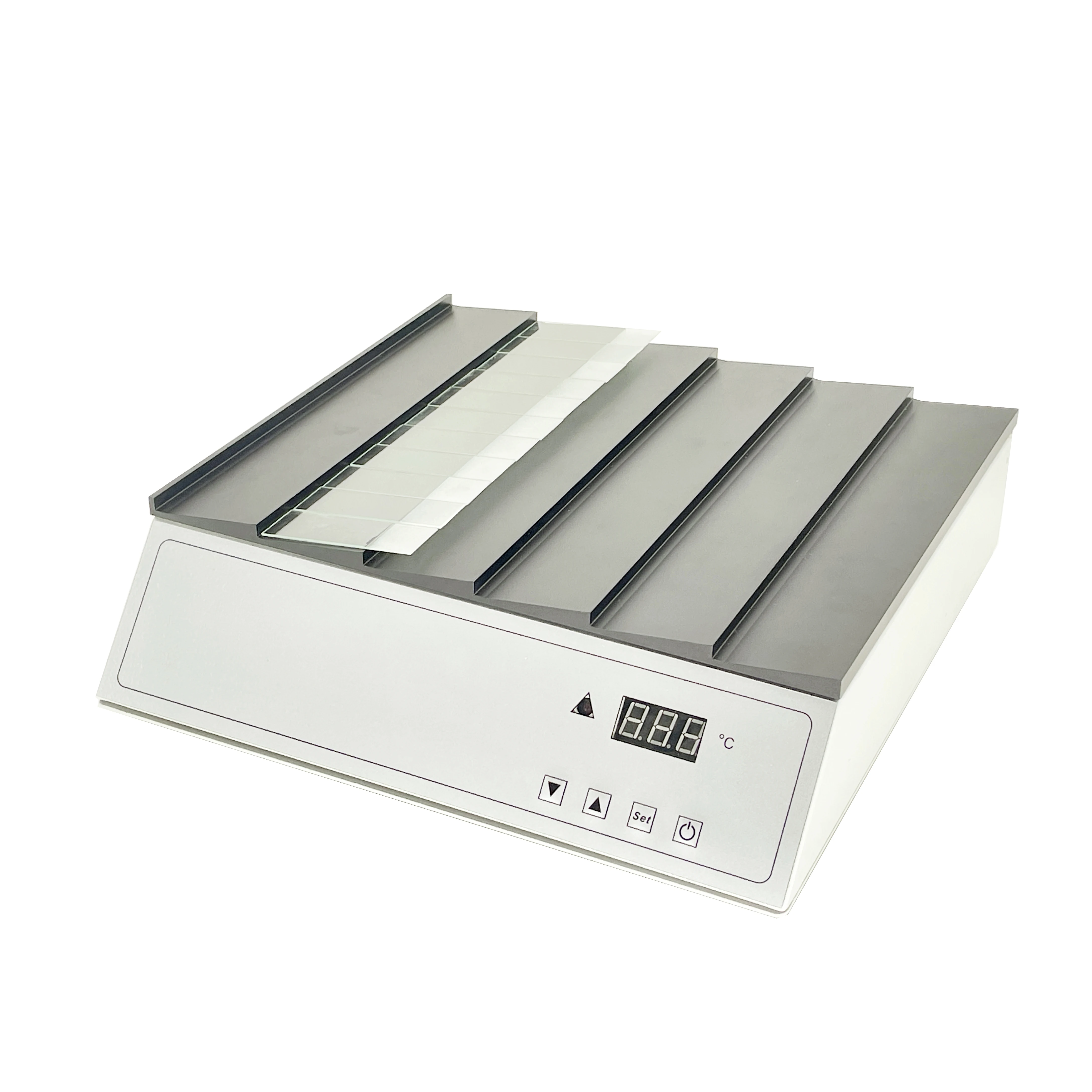 Customized Lab Biological Experiments Continuously Adjustable Automatic Histology Pathological Tissue Section Dryer Heater