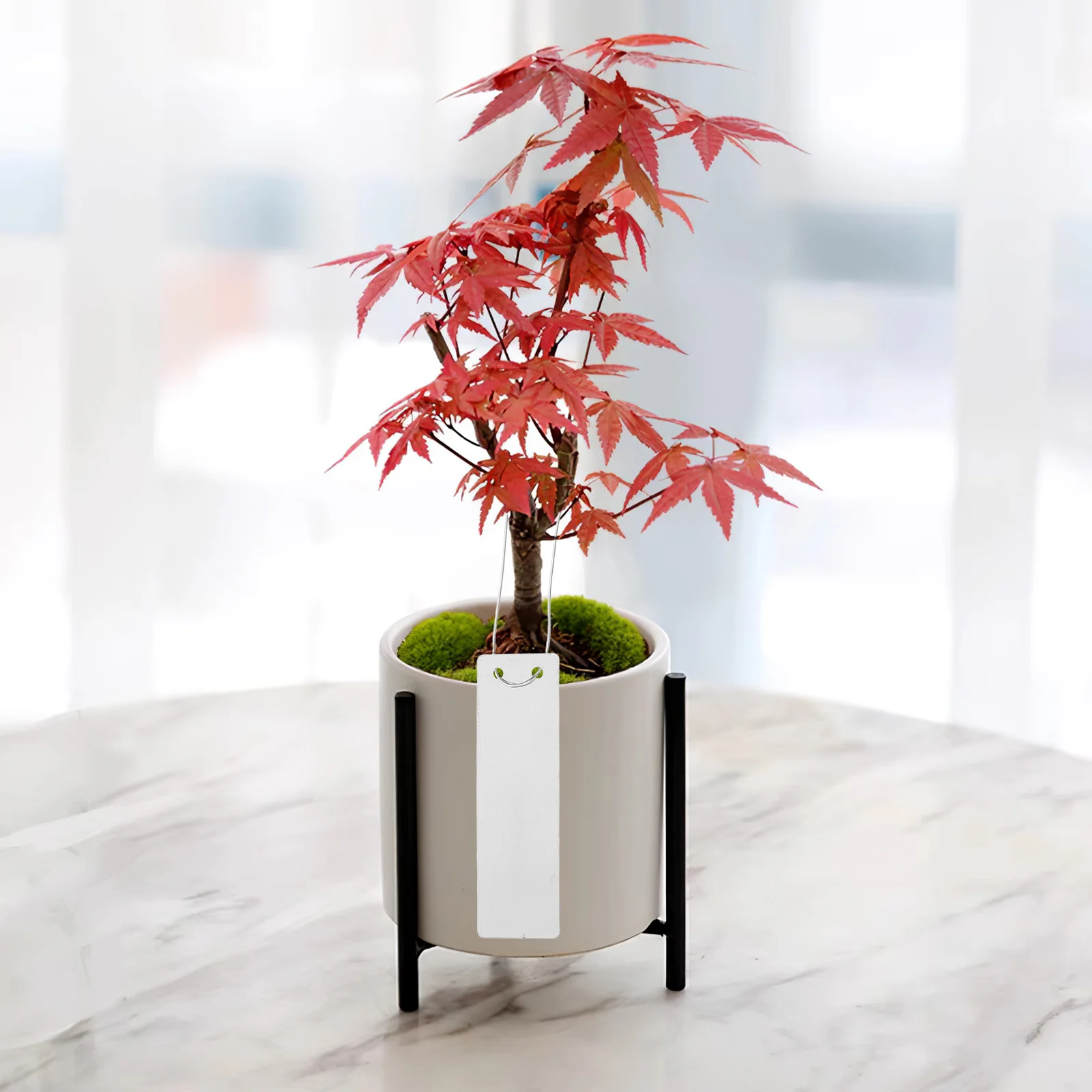 

20Pcs Aluminum Plant Labels Outdoor Metal Tags Stable Weatherproof Garden Vegetable Herb Markers Fruit Identification 3.2x1inch