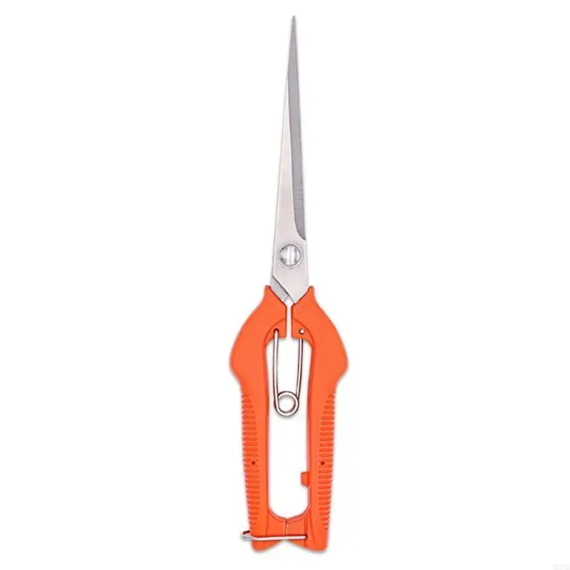 

Ножницы для садовых ножниц с миниатюрным наконечником для детальной подрезания цветов растения