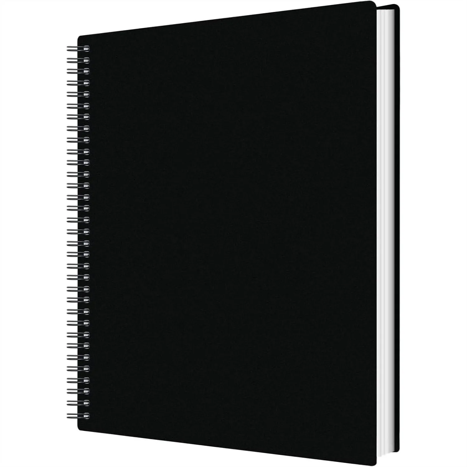 

60 Pockets Portfolio Binder with Plastic Sleeves for Artwork, Sheet Music, Documents, Diamond Painting