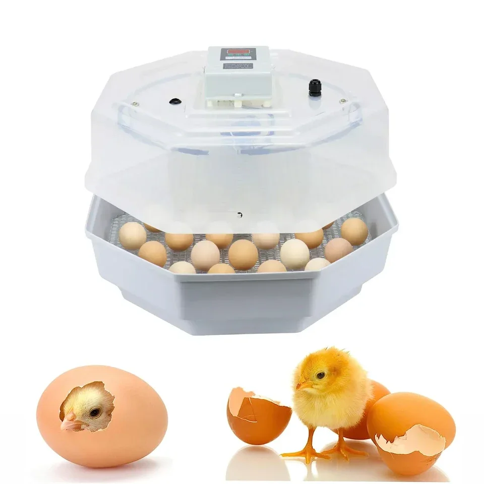 

JN2-60 Egg Incubators, Hatching Eggs, Chicken Incubator