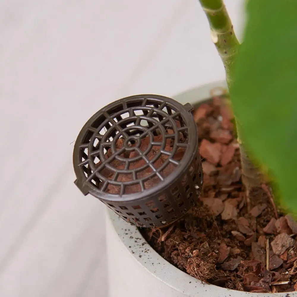 10 Pcs Plants Case Basket Fertilizer Box Bonsai Tool Fertilizer Cover Nursery Pots