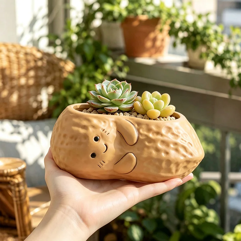 Cute Peanut Shaped Succulent Planter Smiley Face Resin Flower Pot Plant Container for Desktop Balcony Garden Home Decor Gift