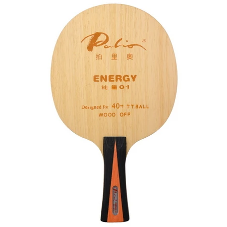 

Palio Energy 01