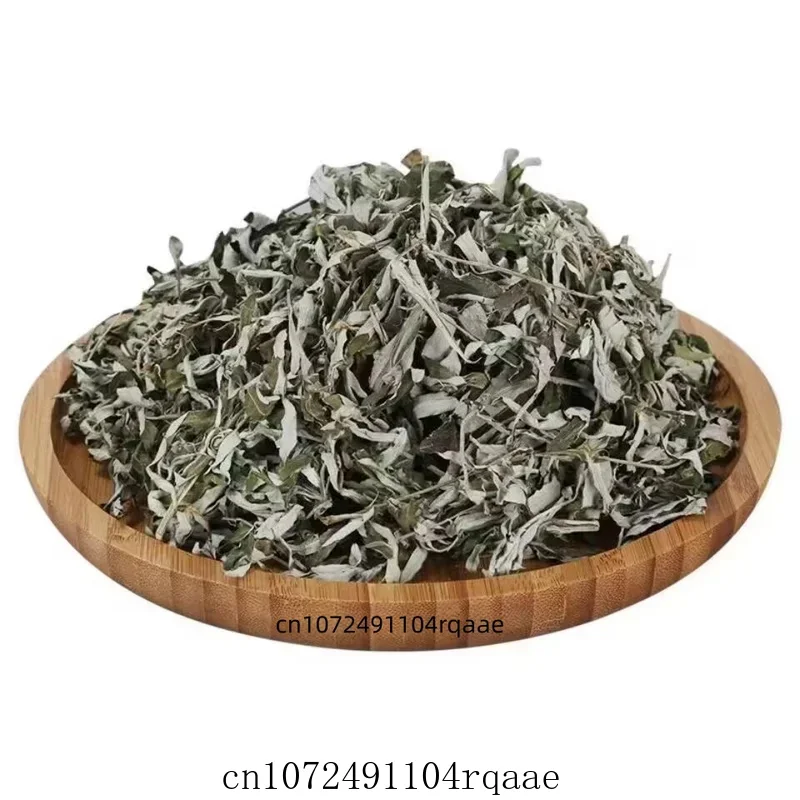 Hoja de Artemisia Argyi Natural Premium Seca para Moxibustión, Baño de Pies, Spa, Relajación y Difusor de Aroma Duradero