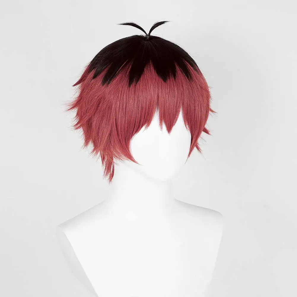 Anime Sousou of Frieren Fantasy Stark Wigs Cosplay Costume Accessories Adult Men Roleplay Fantasia Prop Man Halloween Hair Decor