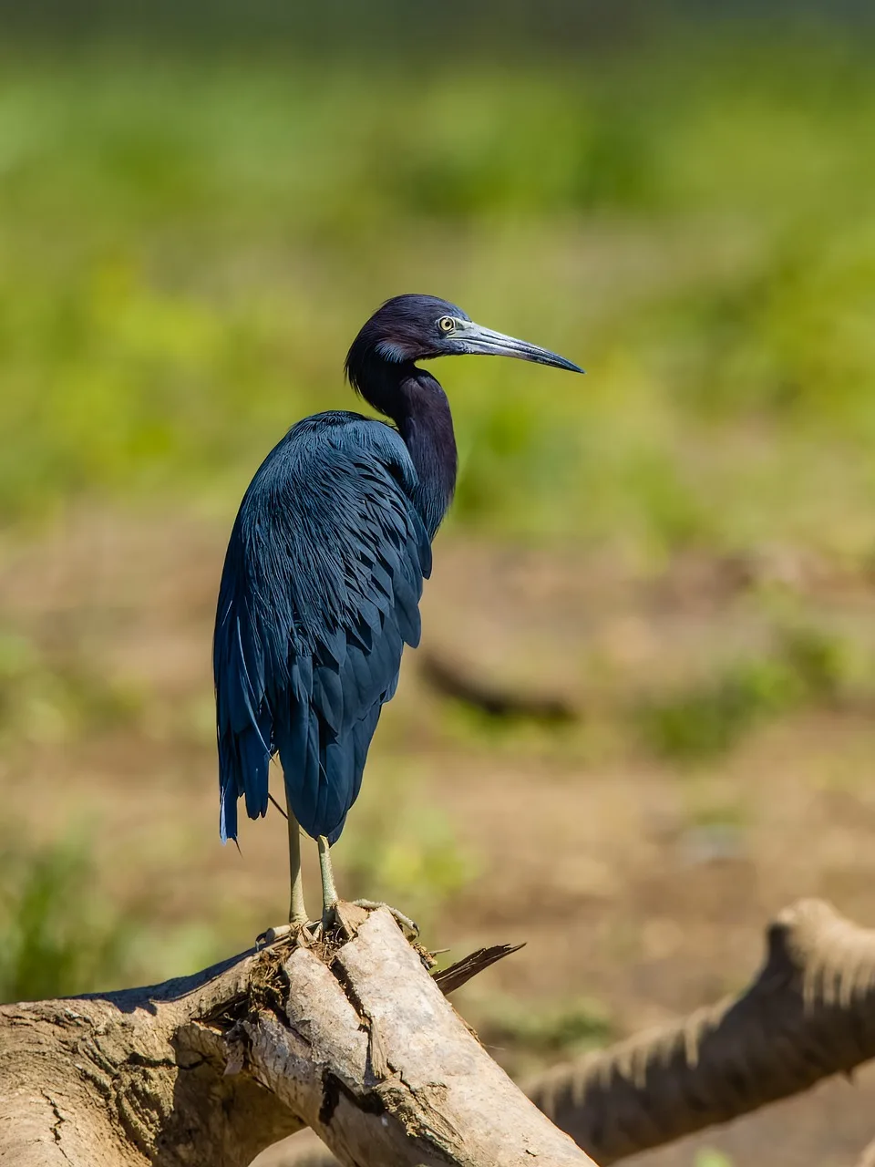 4 pezzi RC modello duro pneumatici da deriva ruota per Trxs HSP Tamiya HPI 1:10 RC veicolo da strada alla deriva auto set di pneumatici duri