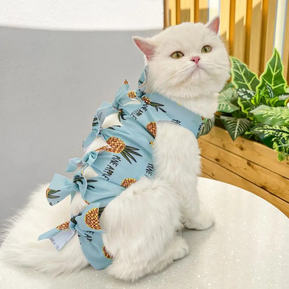 Pet Neuter Clothing Fruit Print Cat Neutering Suit Weaning Sterilization Jumpsuit for Small Dogs Cats Postoperative Care Clothes