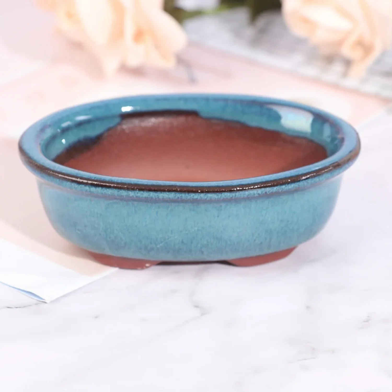 Pots de bonsaï de Style chinoi - Training Pot Ceramic avis et prix