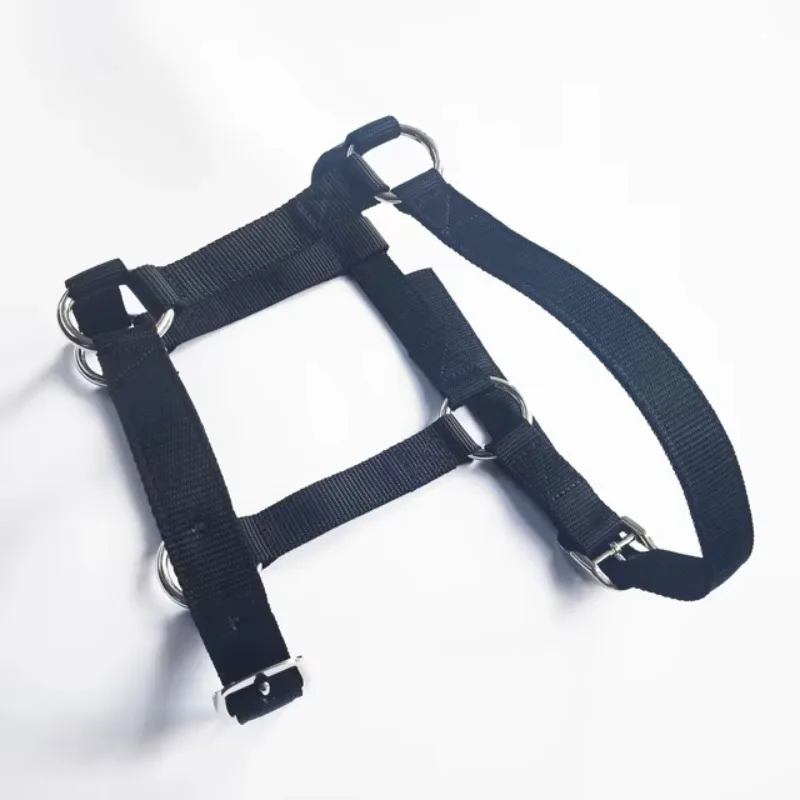 

Индивидуальные нейлоновые недоуздки и уздечки для лошадей OEM: снаряжение, аксессуары для конного спорта, поло-уздечки с персонализированными каналами