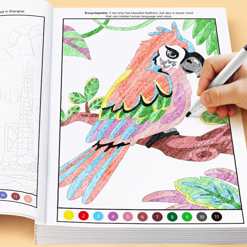 1 Coloring Book Fun Coloring Activities Sketching Graffiti Suitable for Beginners To Draw Containing Animals Flowers Castles