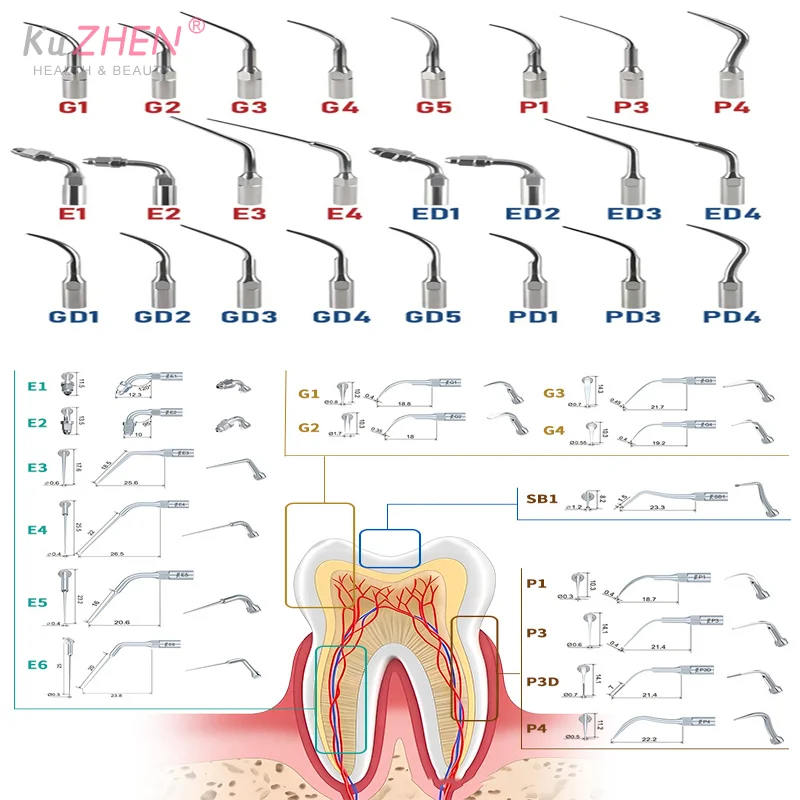 

1Pc Dental Ultrasonic Perio Scaler Tip Dentist Instruments Dentist Tools Teeth Cleaning Root Canal Endodontics Dentistry Medical