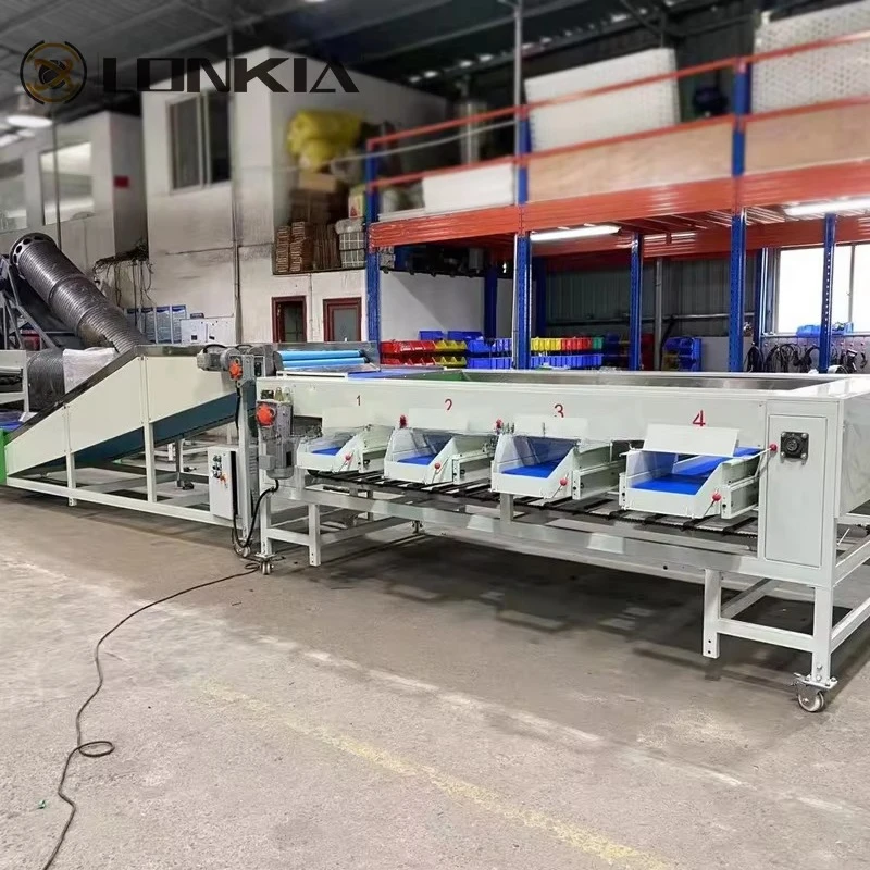 Picture 7: High-Speed Automatic Fruit Vegetable Sorting Equipment Size Grading Machine for Mango Other Vegetables Enhanced Efficiency