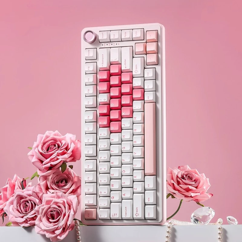 

B75Pro Wireless Keyboard 75%layout Customized Tri-Mode Bluetooth Hot Swap RGB Gasket Keyboard Gaming Office Mechanical Keyboards