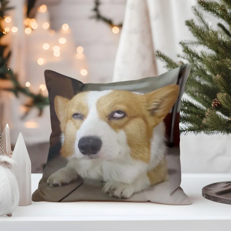 Double Sided Cute Corgi Dog Design Soft Throw Pillow Cover for Bed Sofa and Lounge Chair Holiday Home Decoration