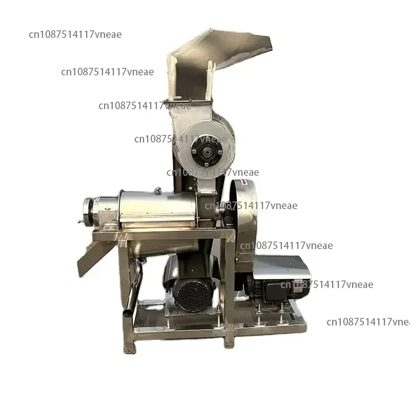 Commercial Screw Type Fruit and Vegetable Juicer Apple Peach Berry and Ginger Juice Stainless Steel Machine