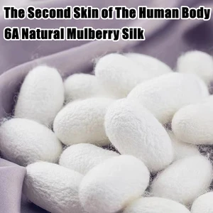 100٪ مربع سكرانشي حرير طبيعي للنساء ، ربطات شعر ملونة صلبة ، عصابات شعر كبيرة ، 22 موم ، ربطات عنق عالية الجودة ، اكسسوارات شعر ، 2 قطعة لكل صندوق 6 مبيعات رئيسية مستعملة دراجة 100 ريال - No4