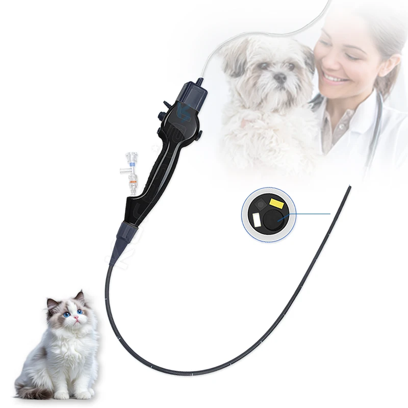 Medical Disposablele Electronic Flexible Endoscope Price with USB Prot Veterinary Video Laryngoscope