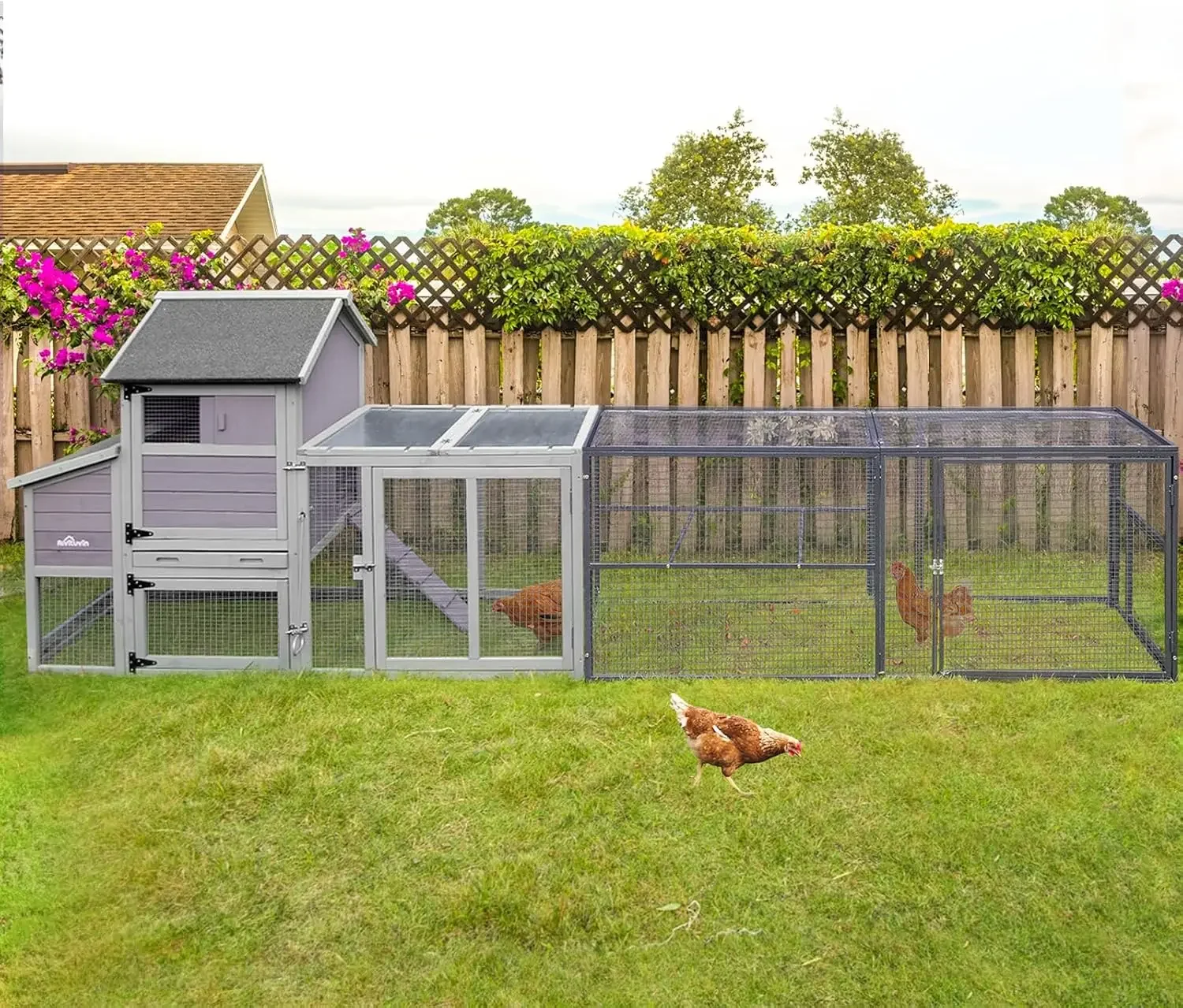 

Chicken Coop Wooden Hen House with Large Run and Nesting Box, Outdoor Poultry Cage with Removable Tray,UV Proof Roof, 4 Perches.