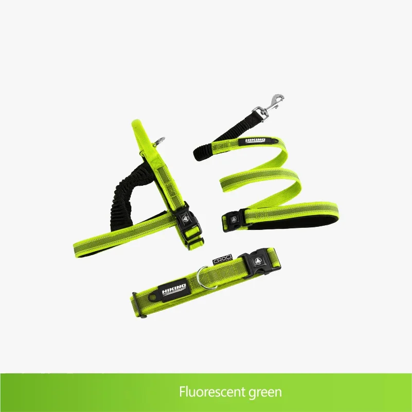 Latest Nylon Dog Collars and Leashes Training Collar Leash OEM