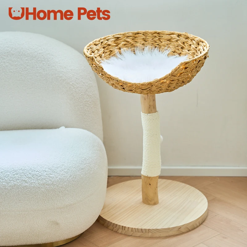 Pet cat tree cat climbing frame small small apartment solid wood rattan wind summer high value