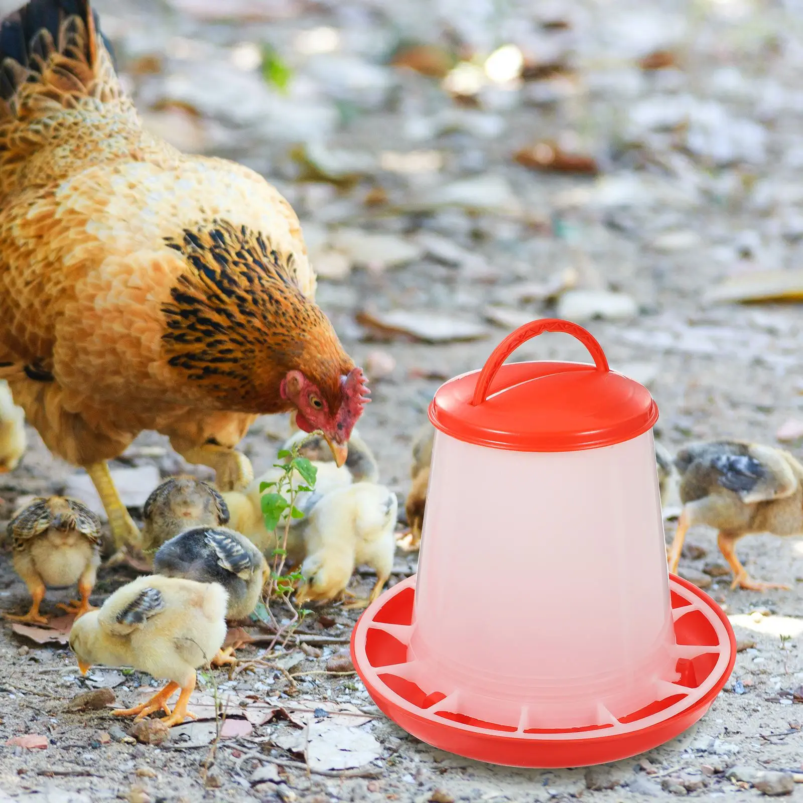 Automatic Chicken Feeding Troughs Practical Poultry Food Troughs Feeder with Water Feeder Feeders for And hen