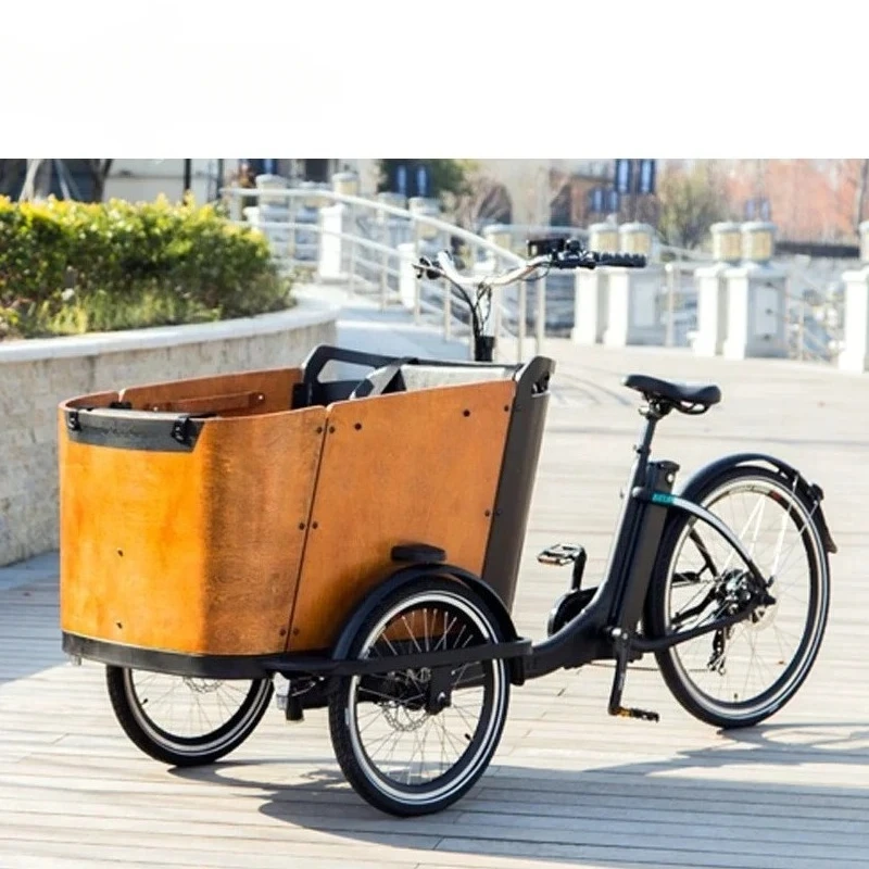 250W Electric Cargo Bike with Electric Assist 36V 12.8ah Tricycle,7 Speed Gears 3 Wheel Bicycle,Hydraulic Disc Brake Bakfiets