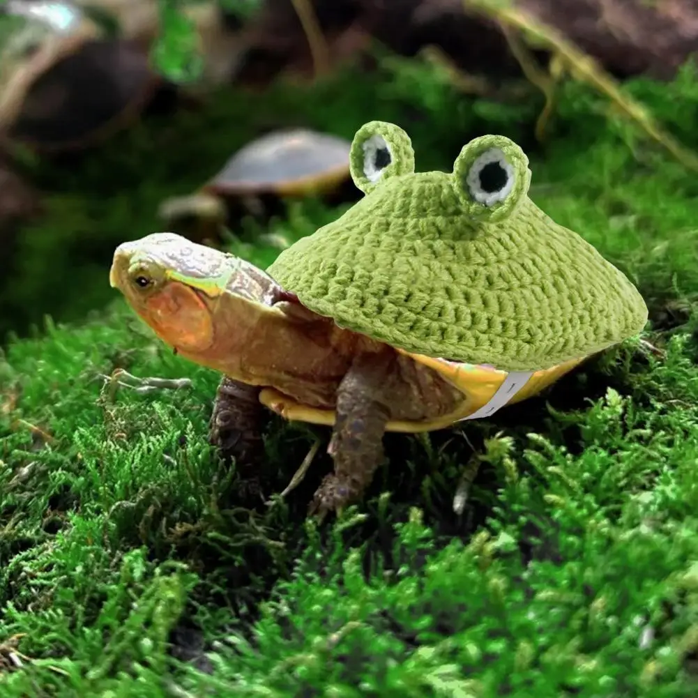 

3d Eyes Turtle Costume Frog Design Turtle Clothes Handmade Knitted Turtle Sweater with Adjustable for Halloween for Turtles
