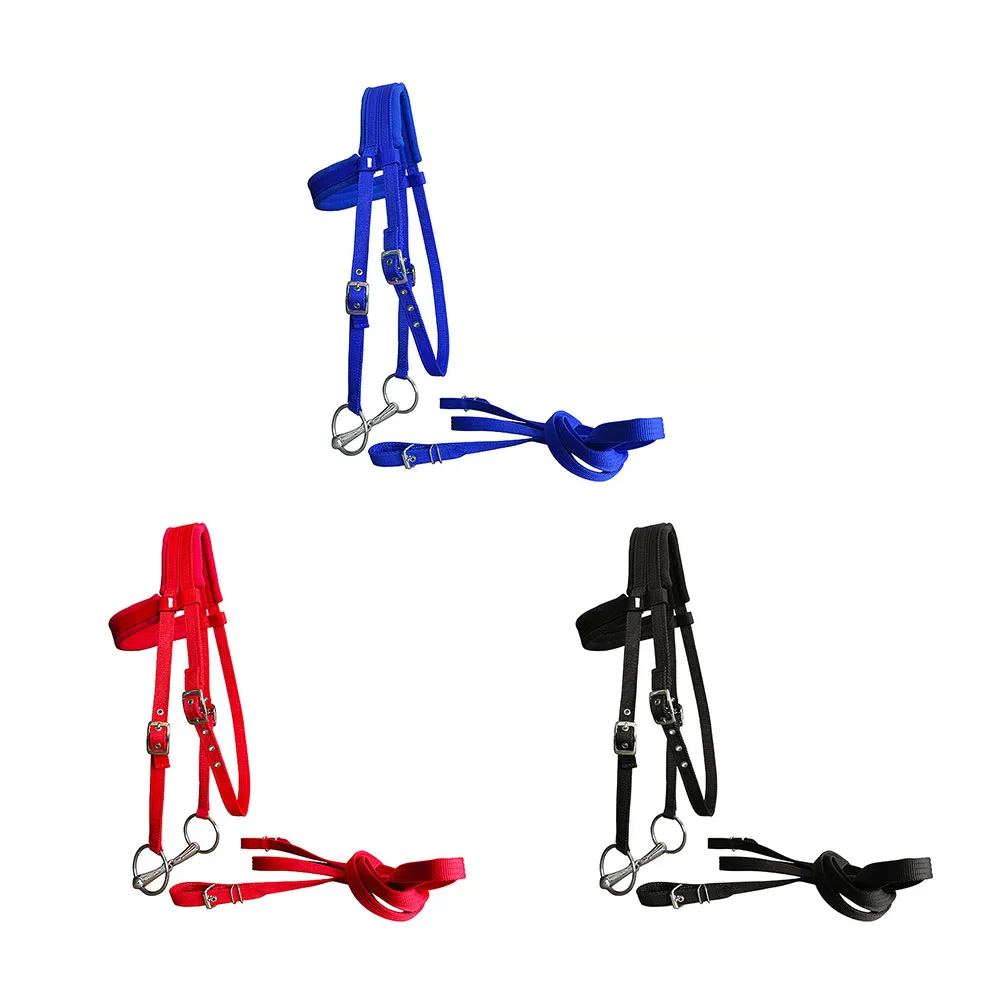 

Durable Polypropylene Webbing Water Reins Horse Bridle with 3.5mm Thick Adjustable Length Rein Stainless Steel Hollow Chew Horse