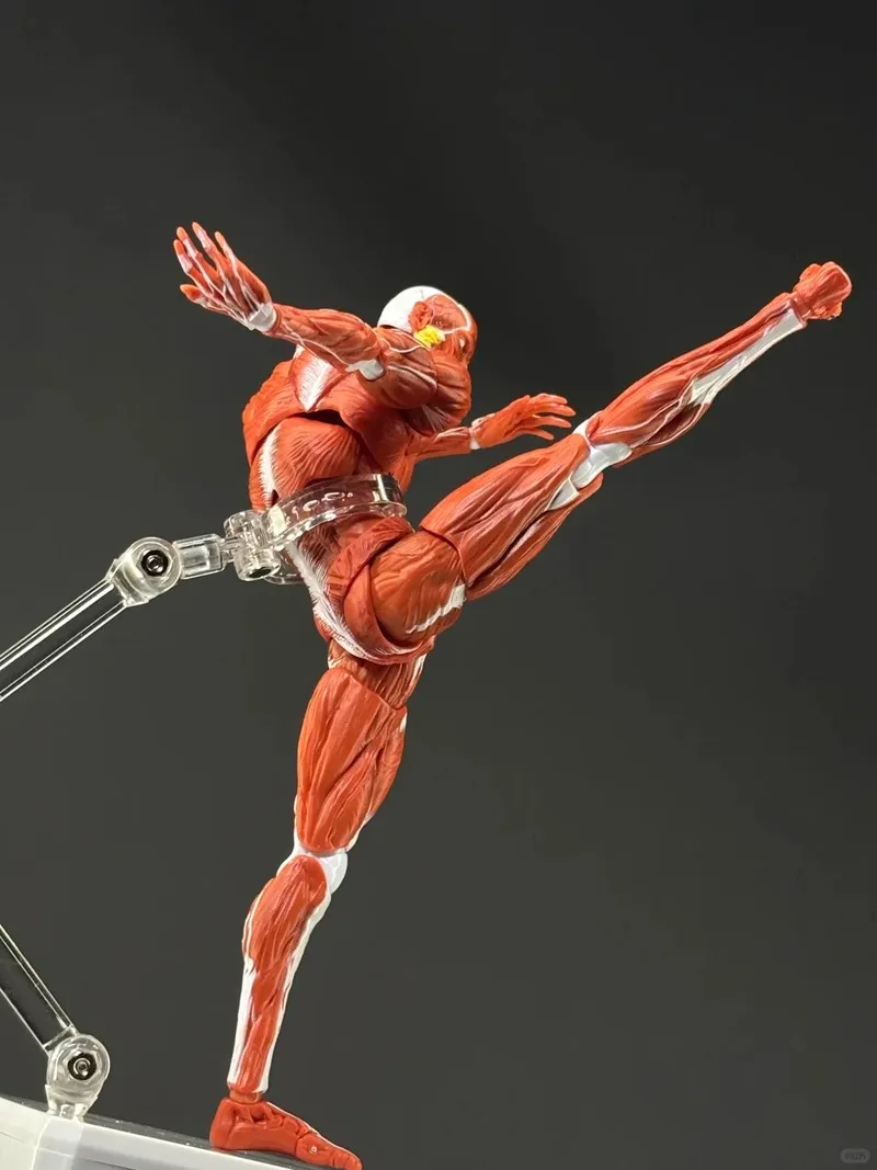 2025 جديد 1/12 مقياس نموذج العضلات البشرية الترا مفصلية الجسم عمل الشكل جمع الديكور الحلي لعبة هدايا عيد الميلاد #3