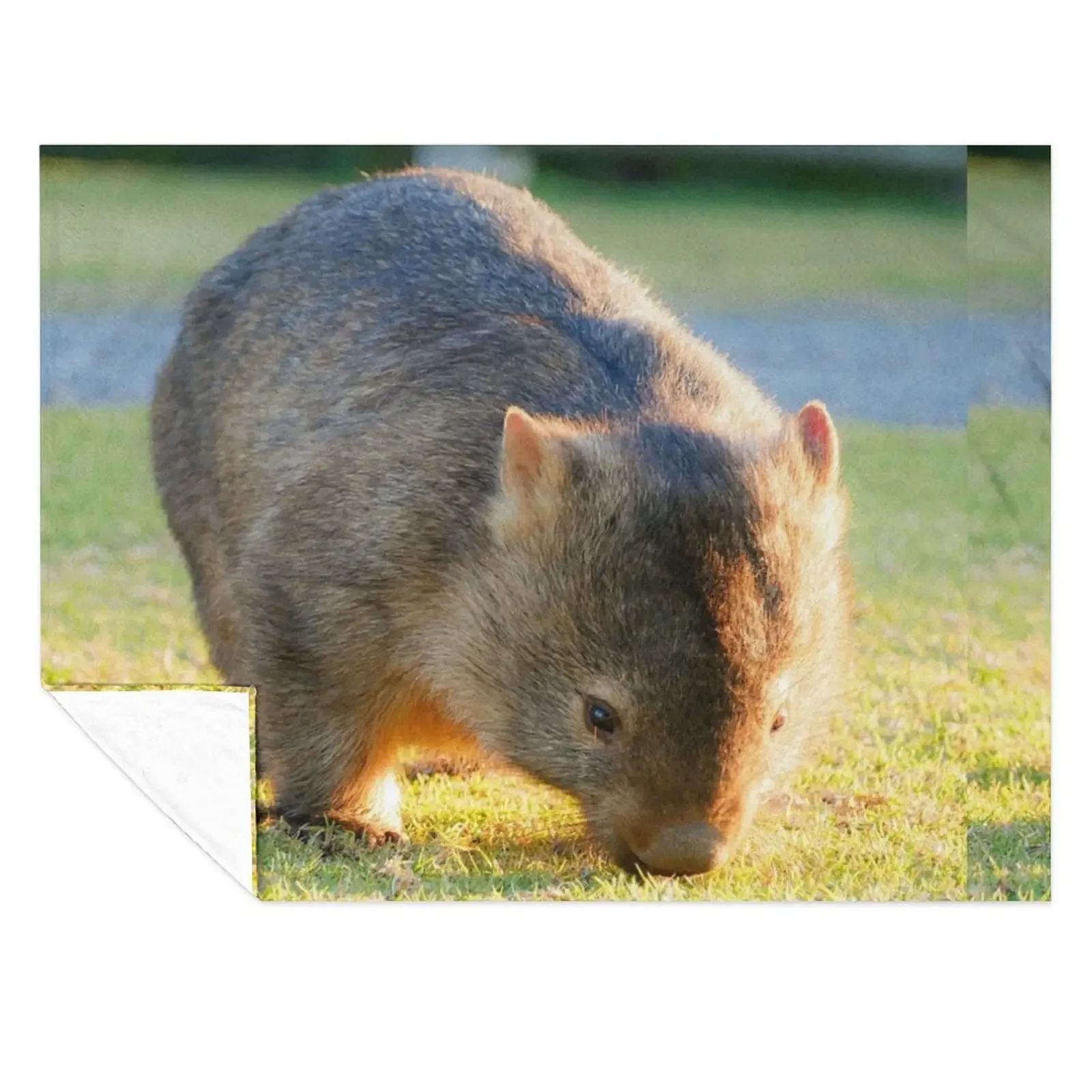 

Adorable Wombat Throw Blanket Luxury Hair Designers Summer Blankets