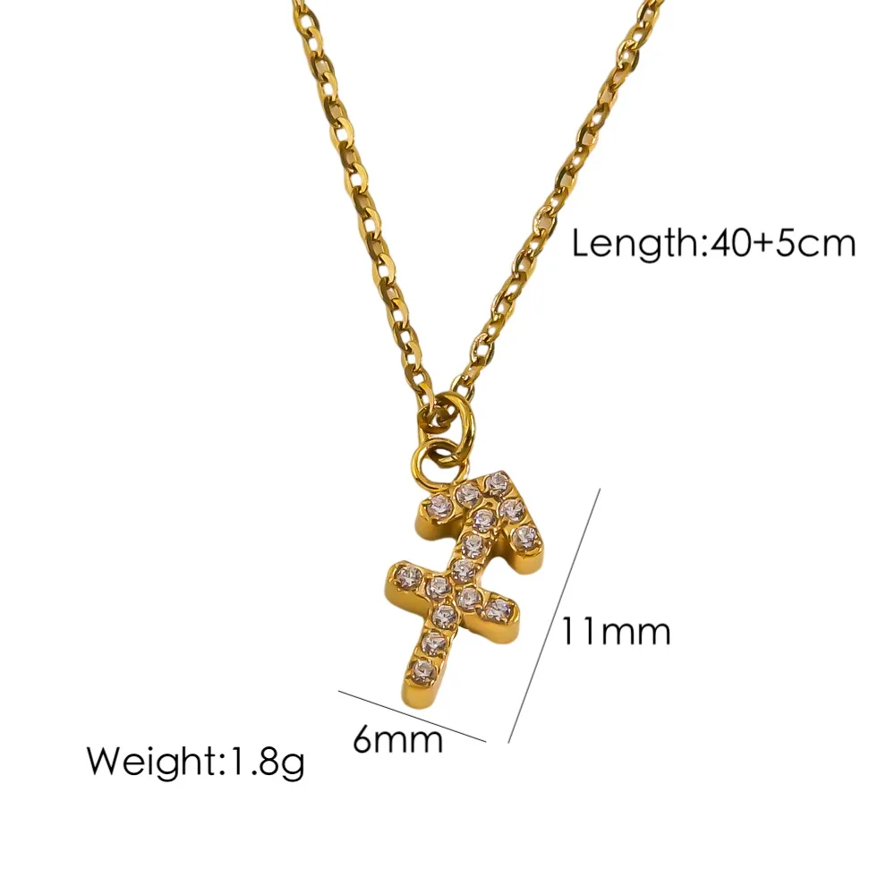 CARLIDANA Hochwertige Minimalistische Trendige Geometrische Edelstahl Vergoldete Zirkon 12 Sternzeichen Anhänger Choker Halskette für Frauen – Detail 2