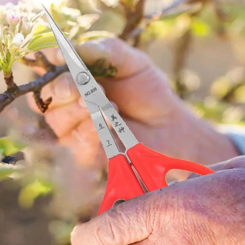 Imagem -04 - Fruta de e Uva Fruta Tesoura Pinça com Conforto Punho Tesoura de Poda Ferramentas de Jardinagem em Aço Inoxidável