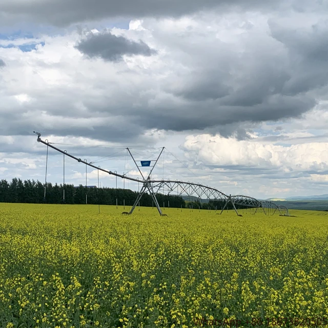 High Efficiency Center Pivot Irrigation Machinery System For Sale