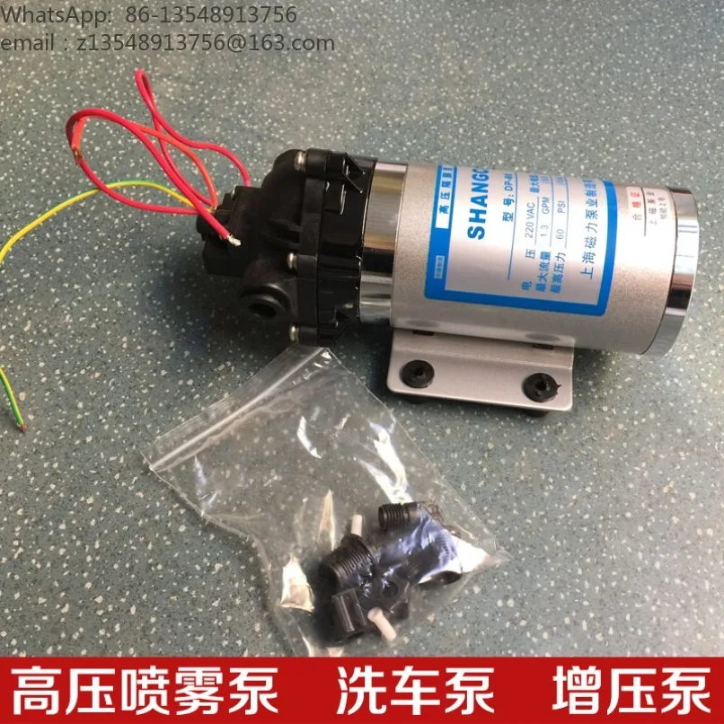 DP-60 Micro Diaphragm Water Pump High Pressure Booster Sprayer Pump 12V 24V 220V with Pressure Switch