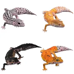 Japanese Bandai Genuine Gacha Scale Model Biological Cognitive Model Movable Simulated Lizard Decoration Action Figure Toys