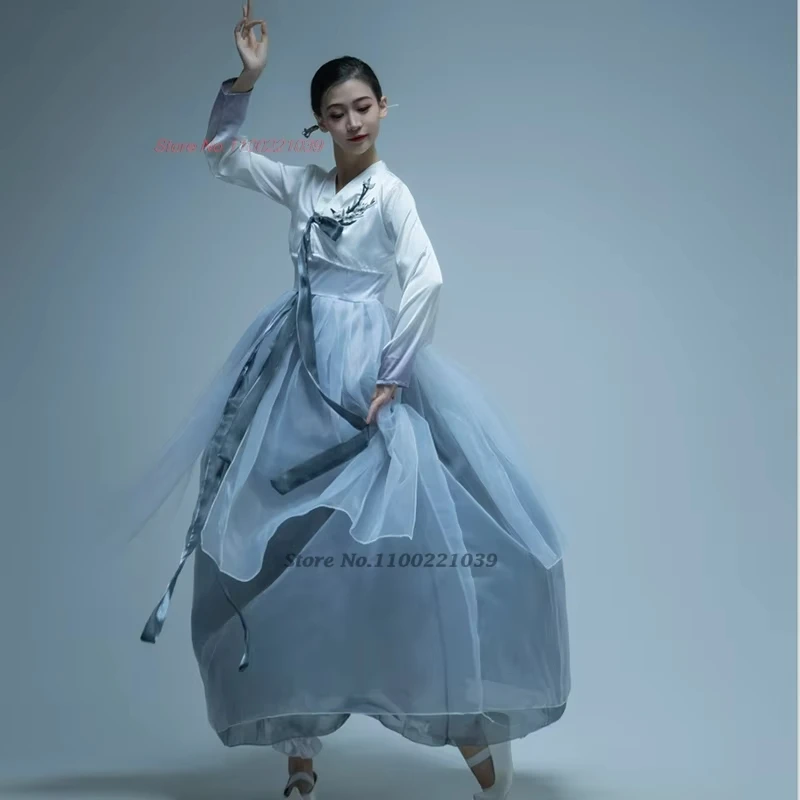 

2025 national dance wear hanbok korean traditional folk costume vintage stage performance chiffon dress korean stage dance dress
