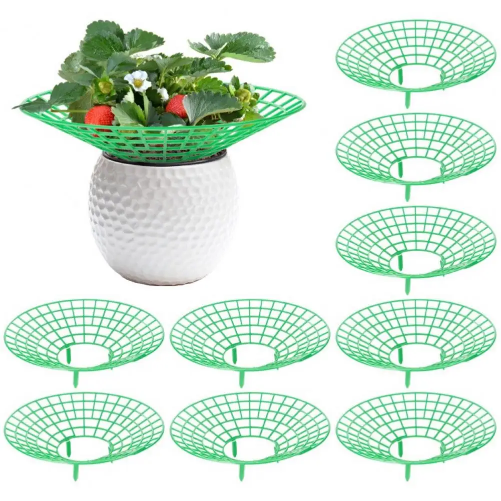 

10Pcs Strawberry Supports with 3 Sturdy Legs Durable Plastic Keeping Plant Fruit Stand Vegetable Growing Rack Garden Accessory