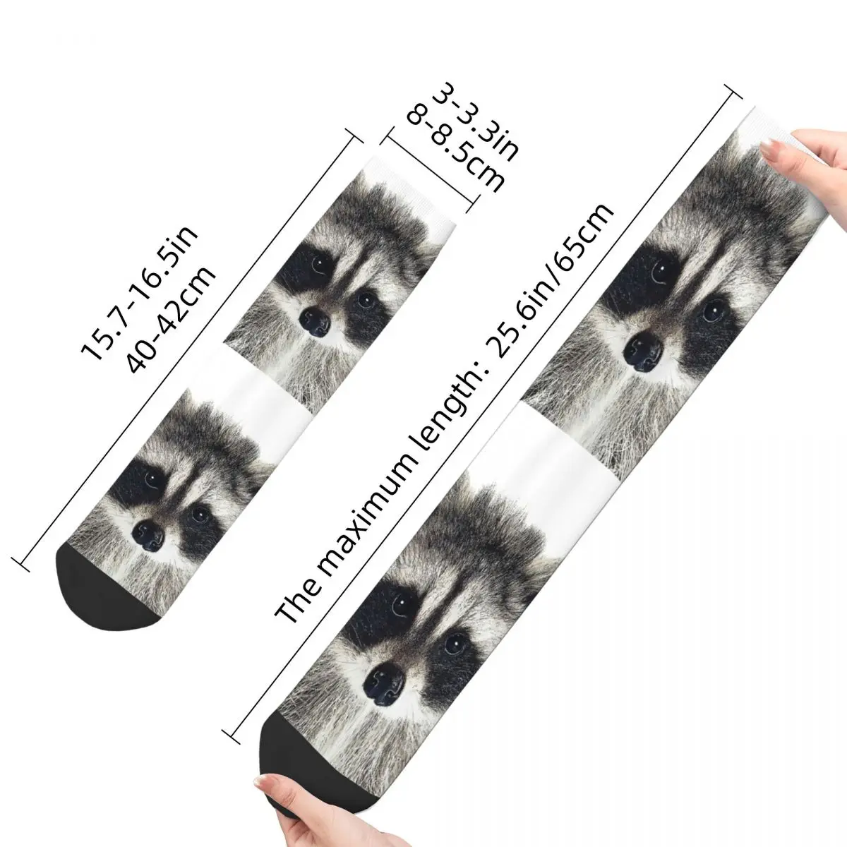 Baby Raccoon Raccoon Unisex Winter Socks Running Happy Socks Street Style Crazy Sock