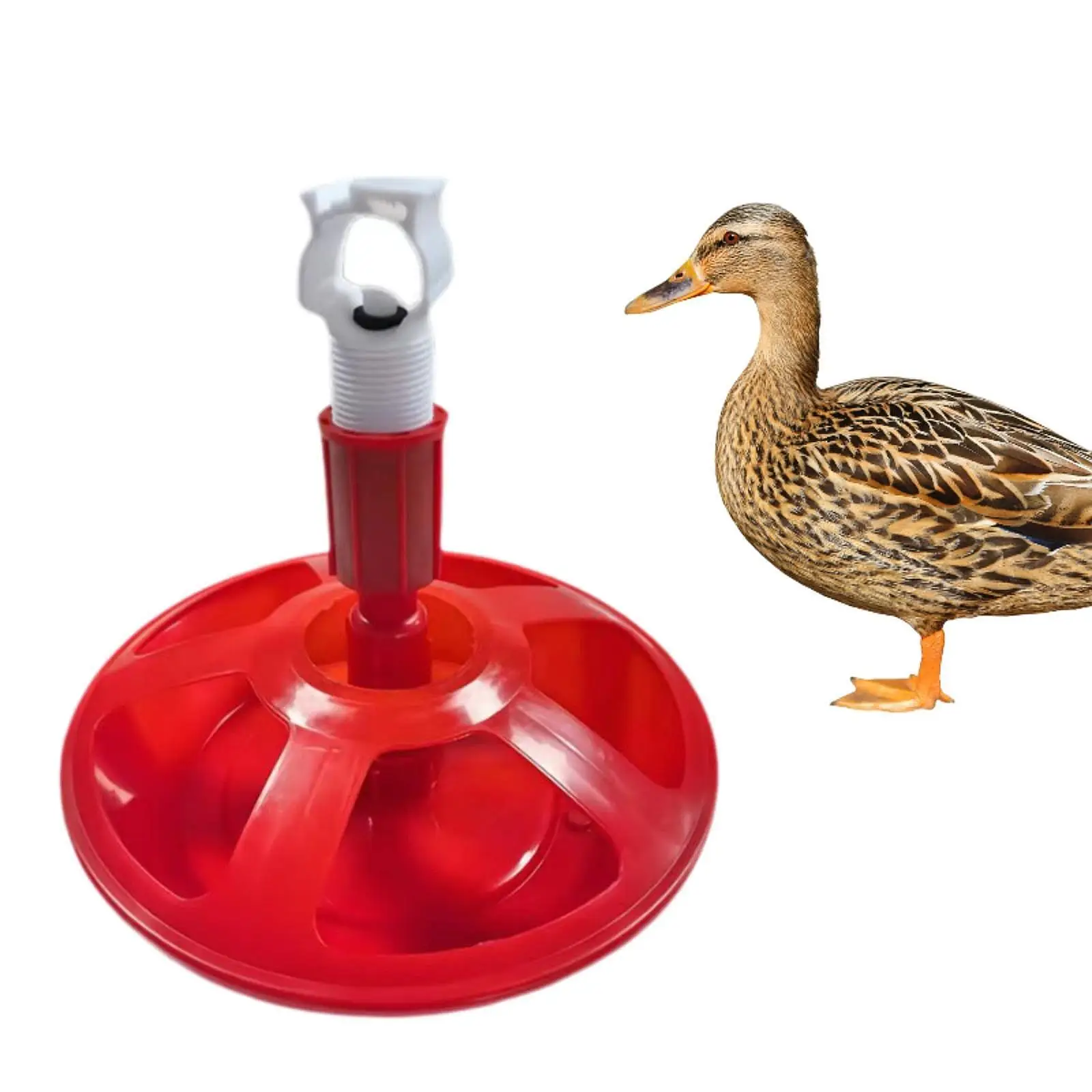 

Поилка для курицы, оборудование для питья птицы, поилка для перепелиных уток, курицы