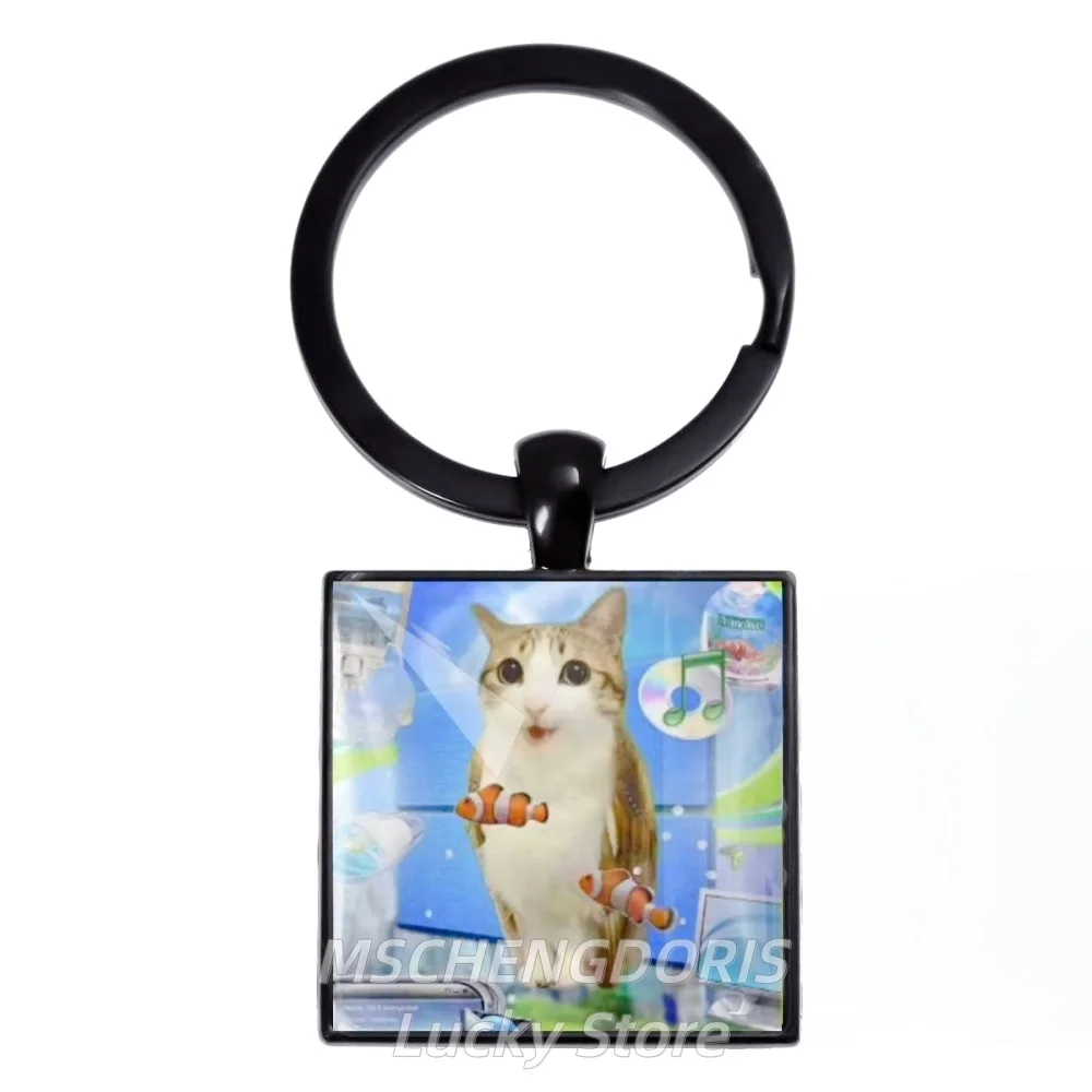 Funny Meme Cat Frutiger Aero Art Retro Black Keychain Glass Square Pendant 25mm Keychain Charm Jewelry Gift