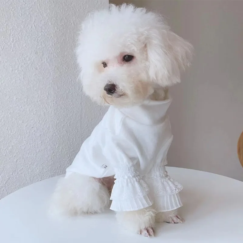 Dog Pure White Bottoming Shirt Pet Clothes White Puppy Cat Teddy Spring Autumn New Bottoming Shirt Girl Dog Shirts Dog Cloths