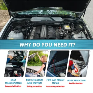 Car Capota Elevators, Schockunterstützung, Zubehör für BMW E36, Limousine 318i, 323i, 328i, M3, 1993, 1994, 1995, 1996, 1997, 1998, 1999 8 Hauptverkaufsfedern BMW E36 - №2