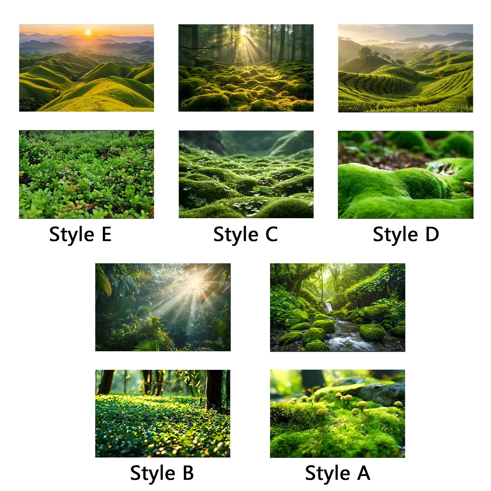 Photography Backdrop Jungle Forest Photography Background Decoration for Books Magazines Commercial Cosmetics Flowers Pictures