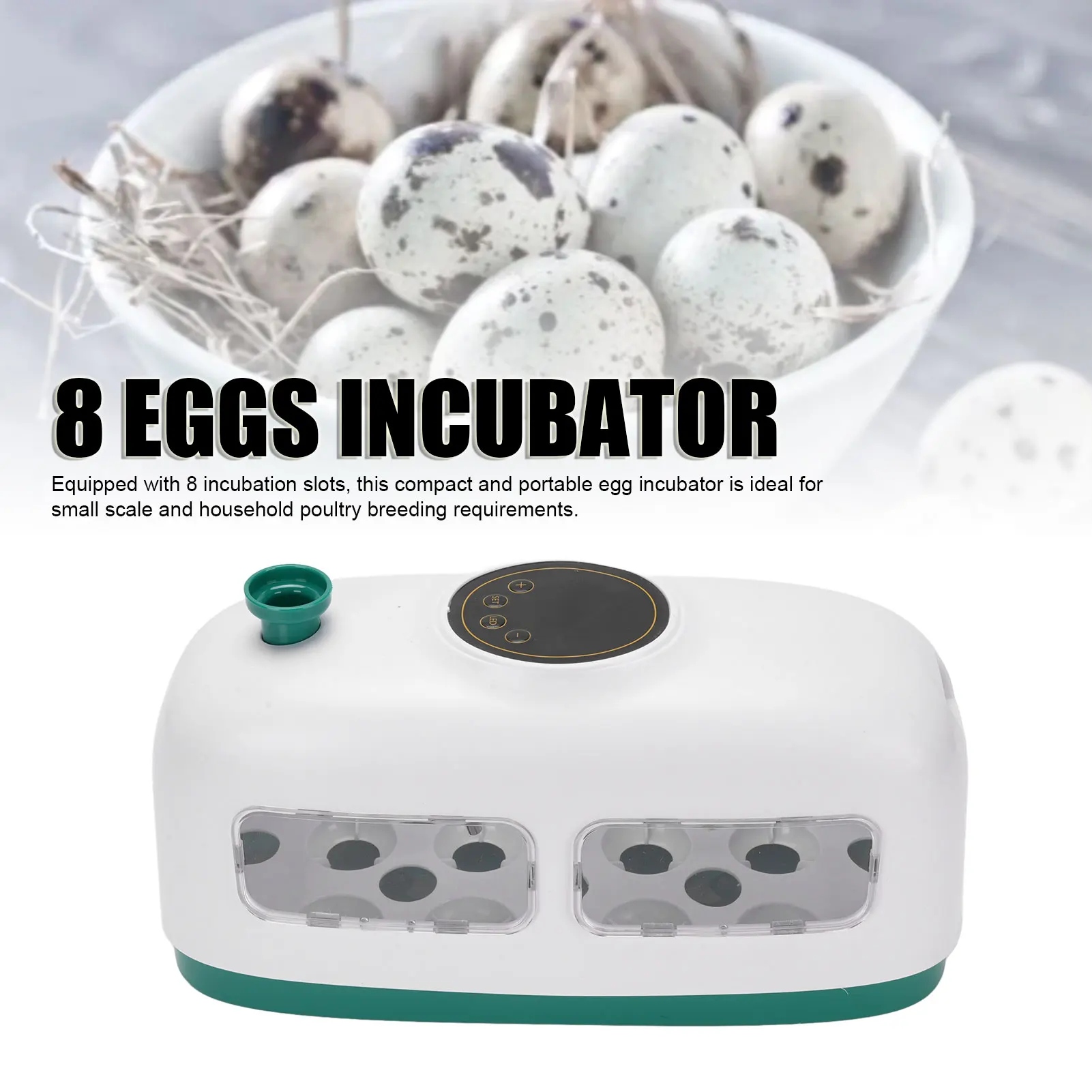 

Egg Incubator Mini Incubator 8 Egg Automatic Temperature Control For Quail Chicken Poultry Household Educational Tool