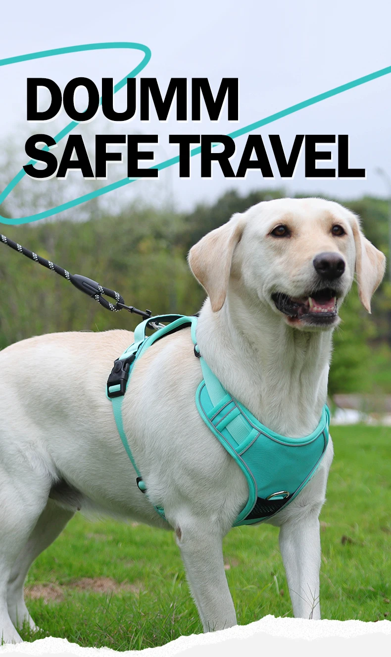 Kein ziehendes Hundegeschirr mit AirTag-Halter, Griff und vorderem Clip – verstellbare, reflektierende, weich gepolsterte Hundegeschirrweste zum Spazierengehen, Tra – Detail 1