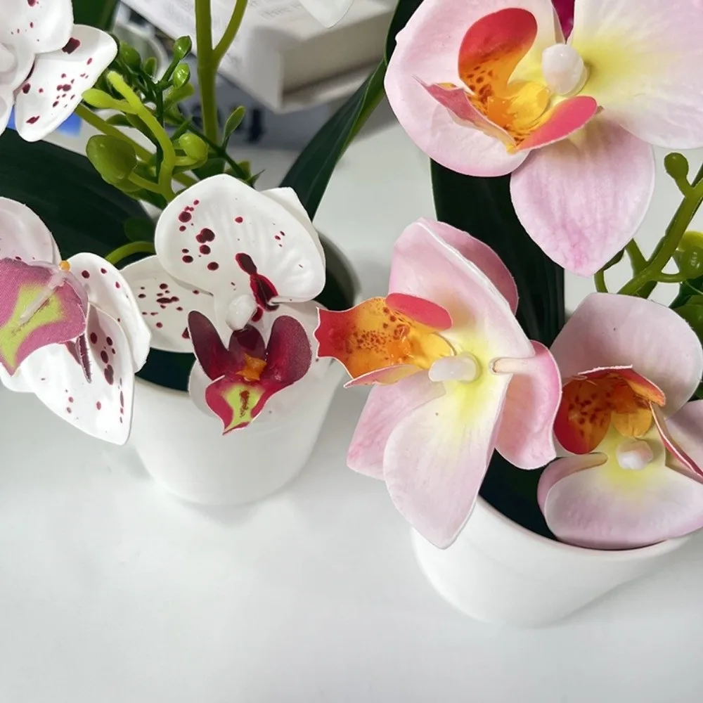 5 Blooms Artificial Orchid Arrangement Indoor Realistic Potted Flower Display White Pot Green Leaves Tabletop Floral Centerpiece
