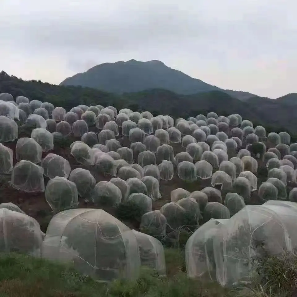 Garden Plant Insect Protection Net,Anti Bird Net Cover for Cherry,Blueberry,Vegetable,Flower,Greenhouse Protective Mesh Network