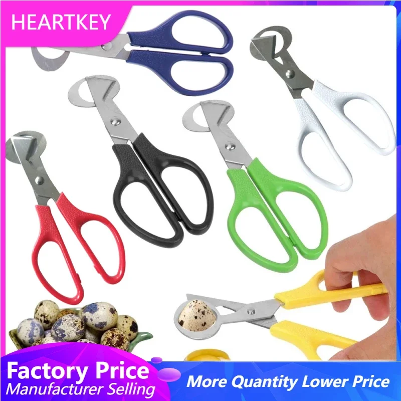 

Quail Egg Scissors Cutter Stainless Steel Blade Tool Small Egg Shell Cutters